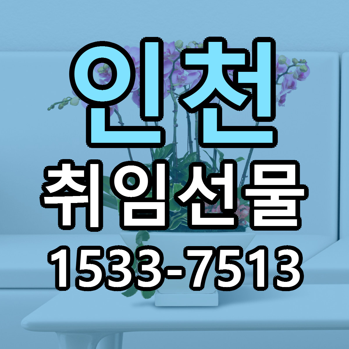 인천 취임선물 당일배송 리본문구 빠른배송 서비스