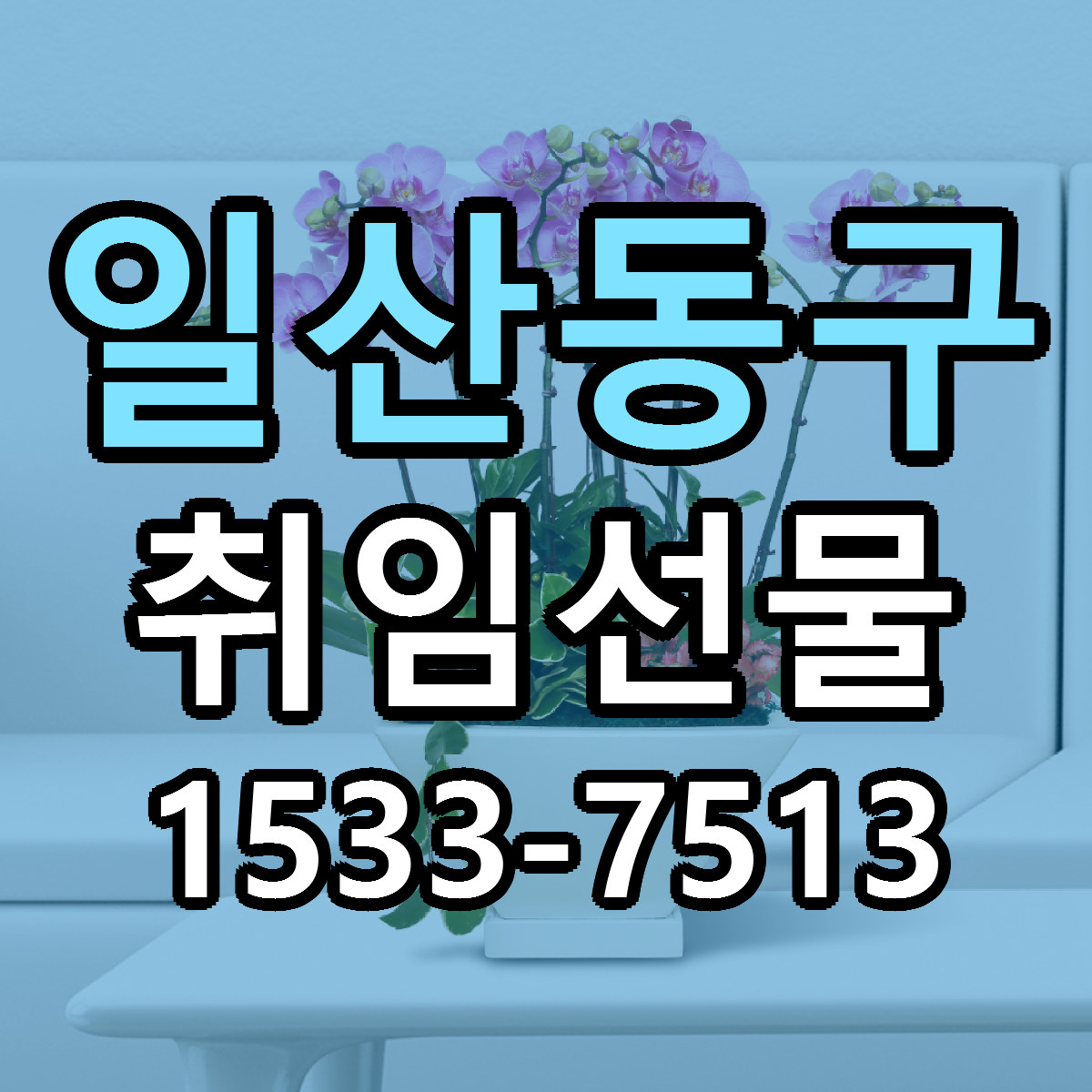 일산동구 취임선물 근처꽃집 가격 저렴한곳 안내