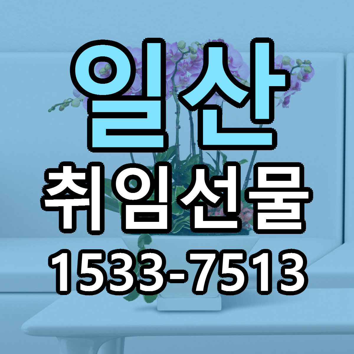 일산 취임선물 저렴한곳 당일배송 근처꽃집 추천