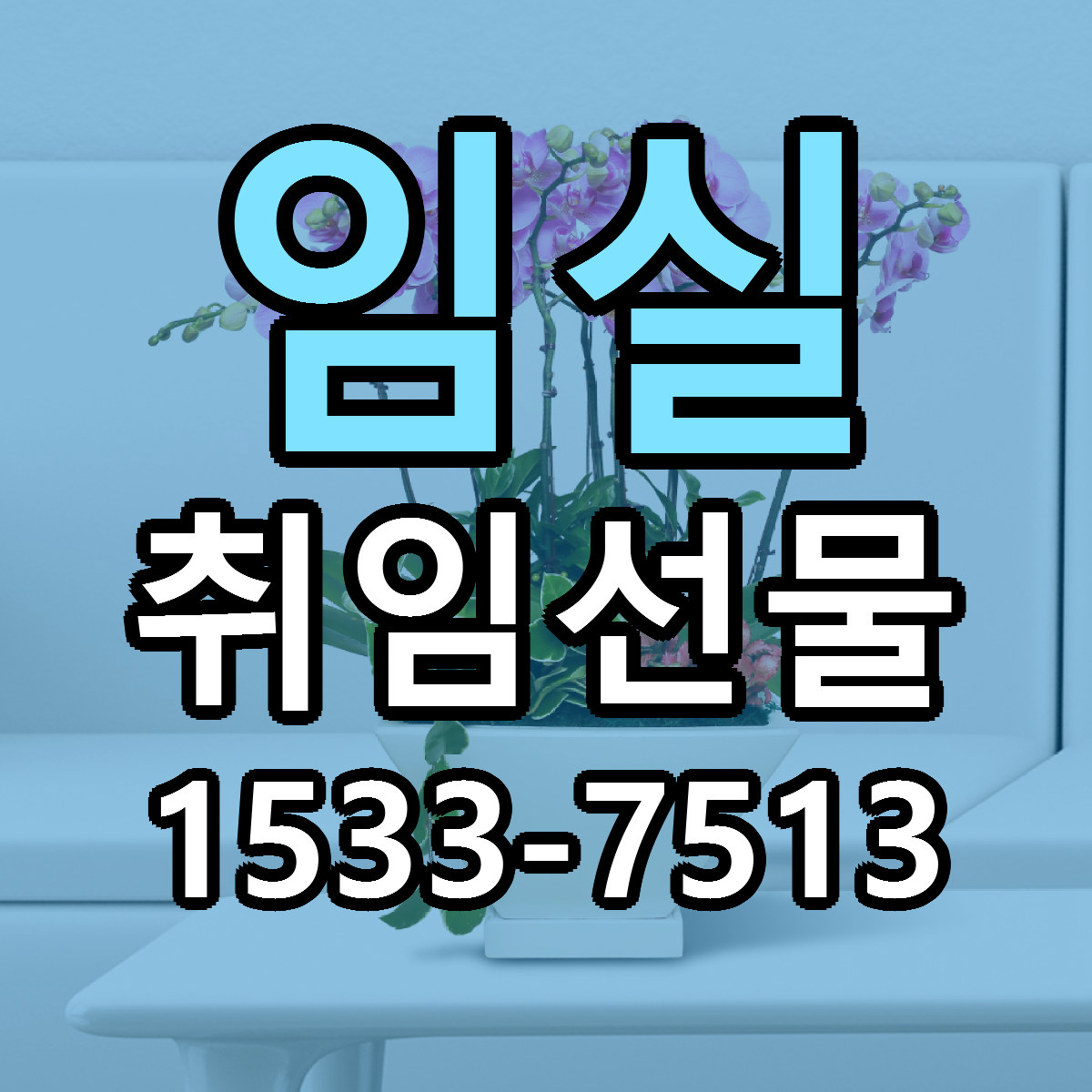 임실 취임선물 당일배송 리본문구 빠른배송 서비스