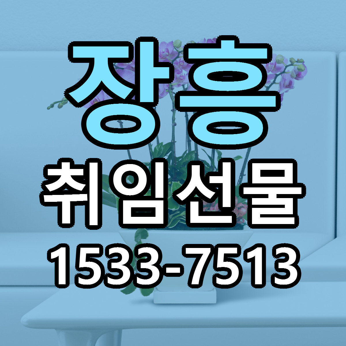 장흥 취임선물 저렴한곳 당일배송 가격 만족