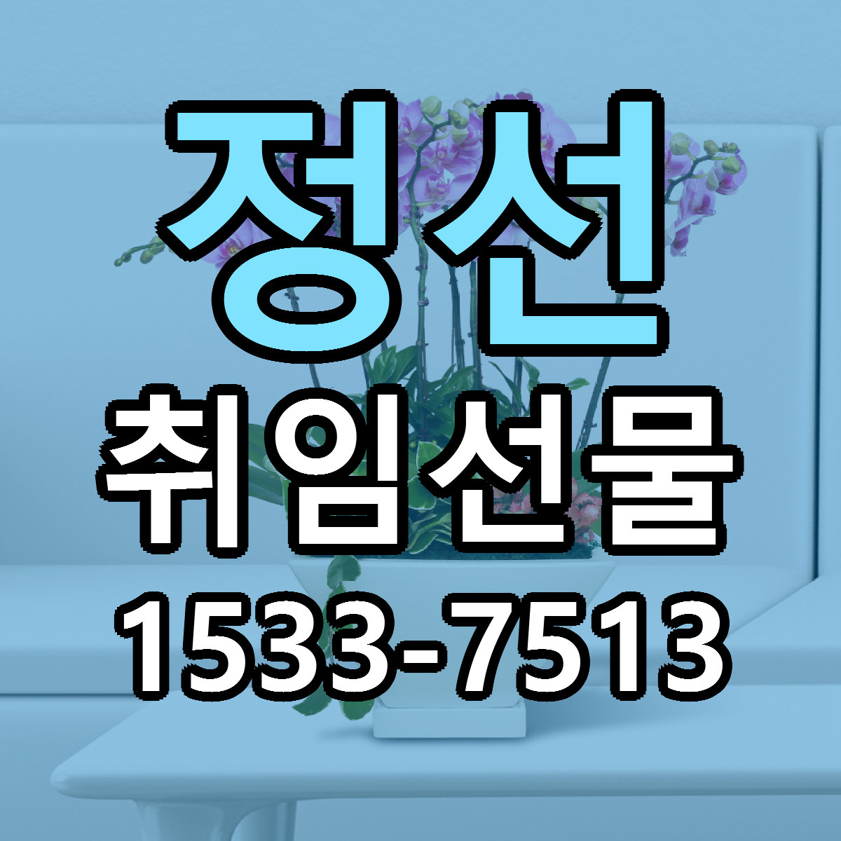 정선 취임선물 빠른배송 리본문구 가격 알뜰 비교