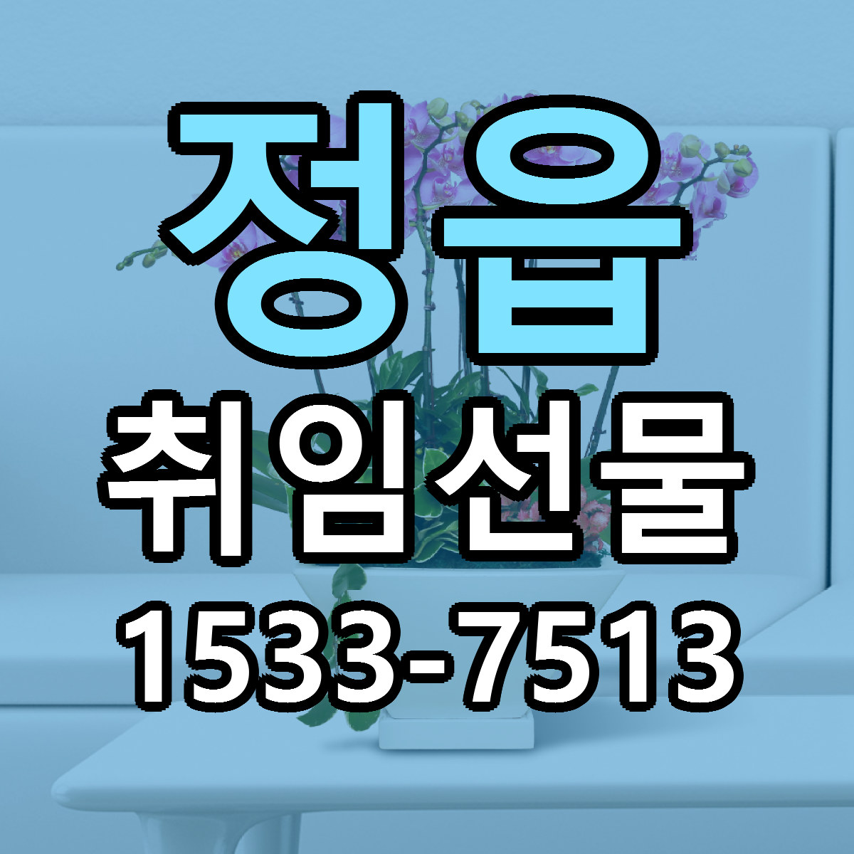 정읍 취임선물 저렴한곳 당일배송 근처꽃집 추천