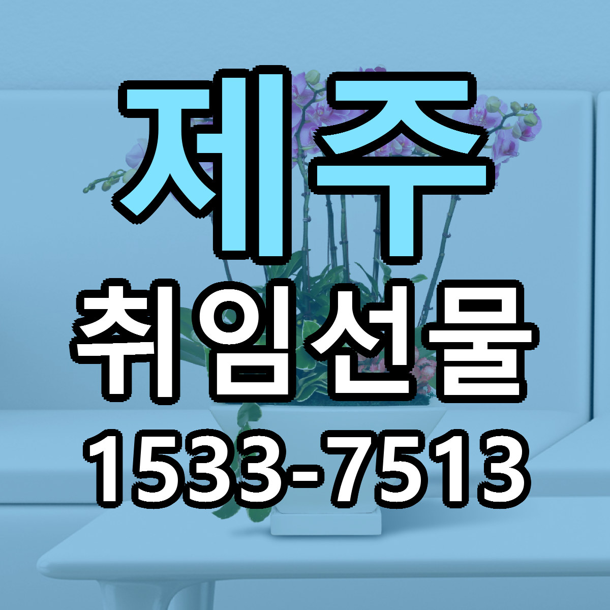 제주 취임선물 저렴한곳 당일배송 가격 만족
