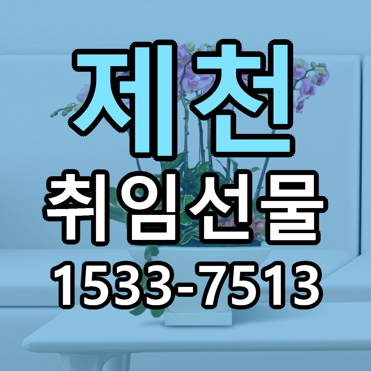 제천 취임선물 저렴한곳 당일배송 근처꽃집 추천