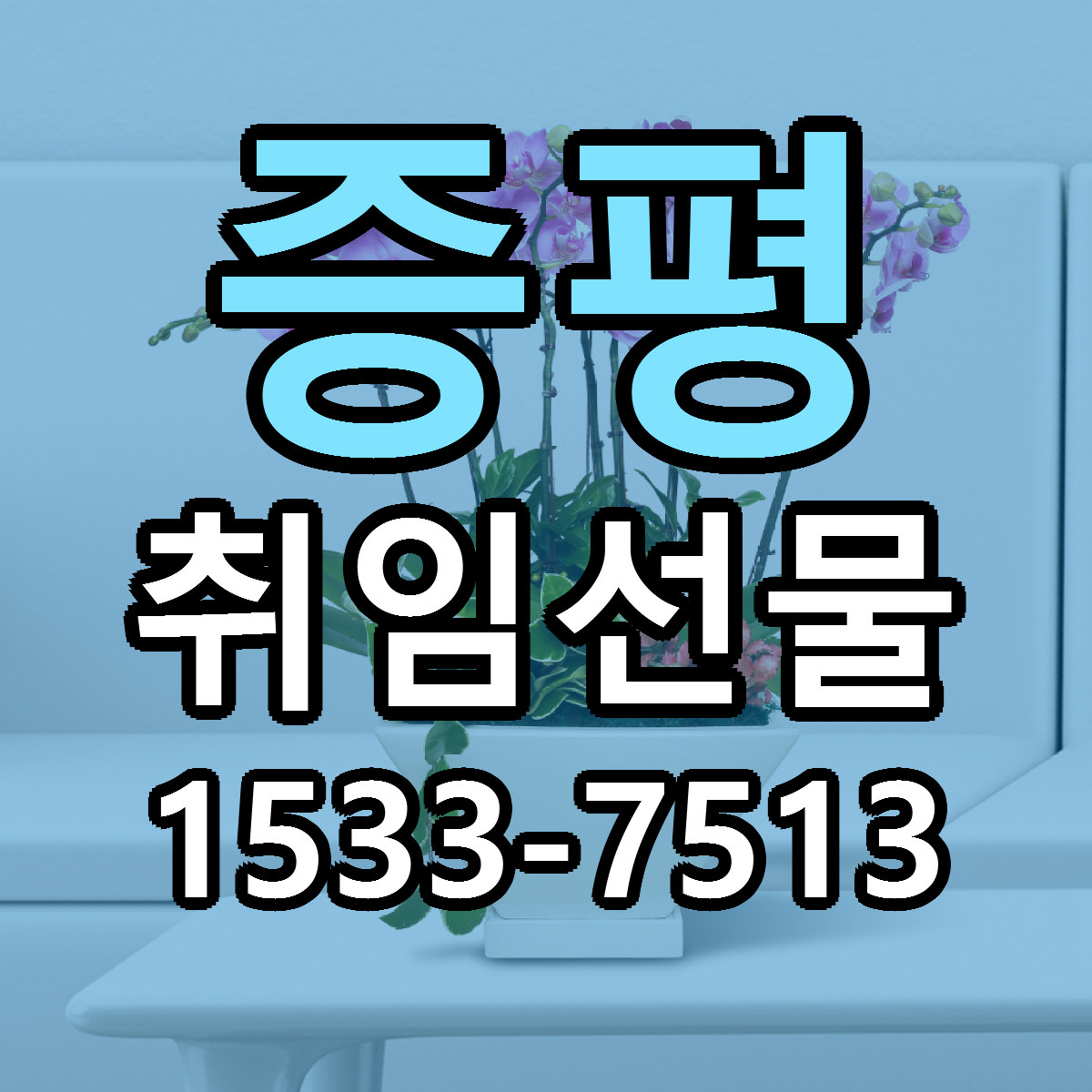증평 취임선물 당일배송 리본문구 싼곳 찾기