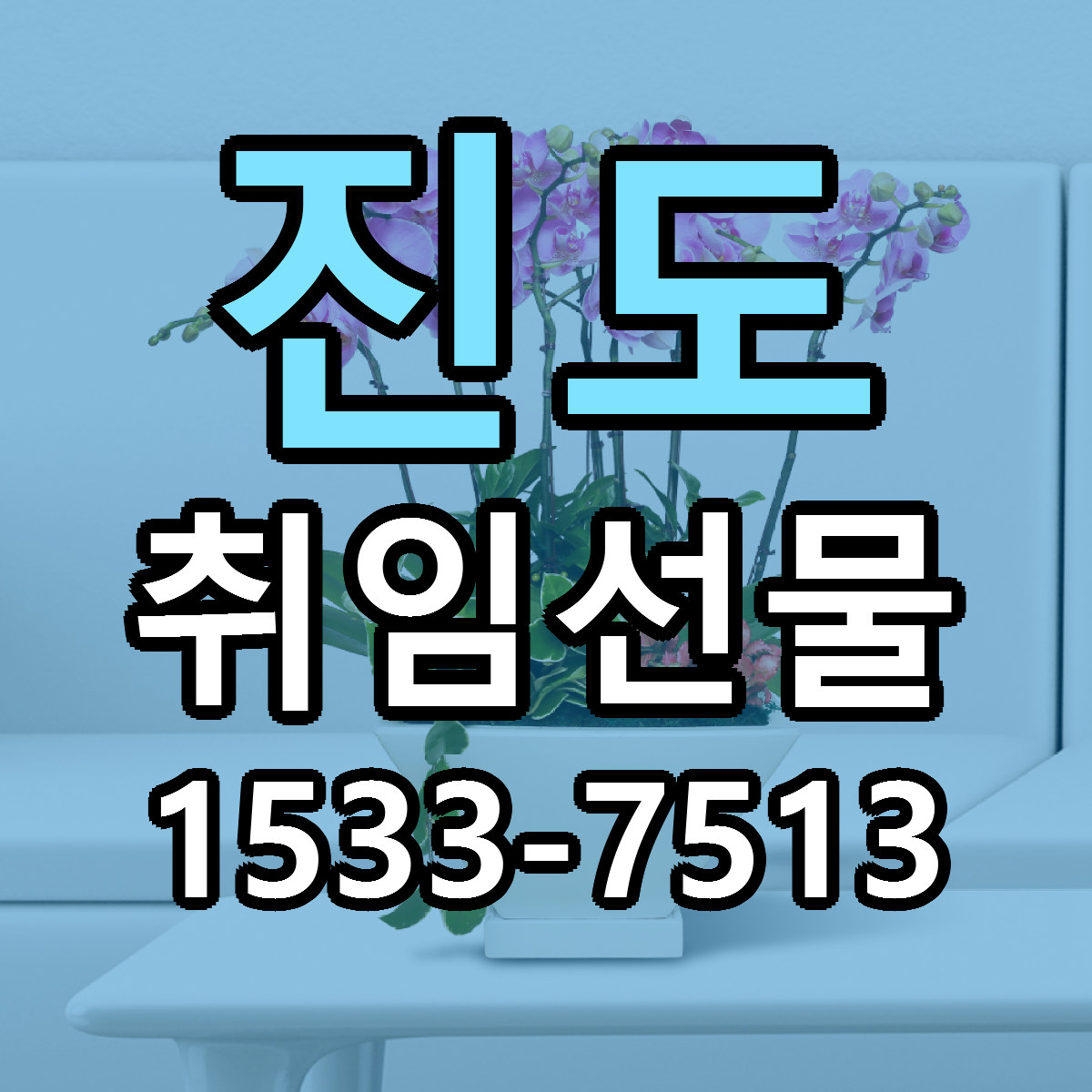 진도 취임선물 저렴한곳 당일배송 가격 만족