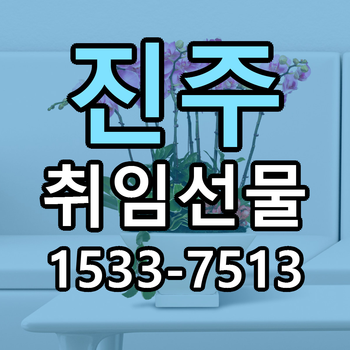 진주 취임선물 싼곳 당일배송 빠른배송 추천