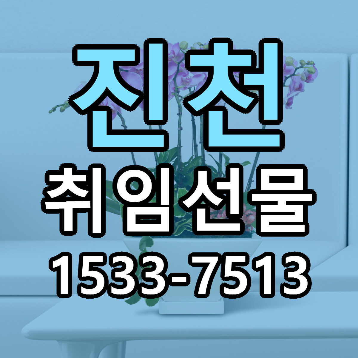 진천 취임선물 당일배송 리본문구 빠른배송 서비스