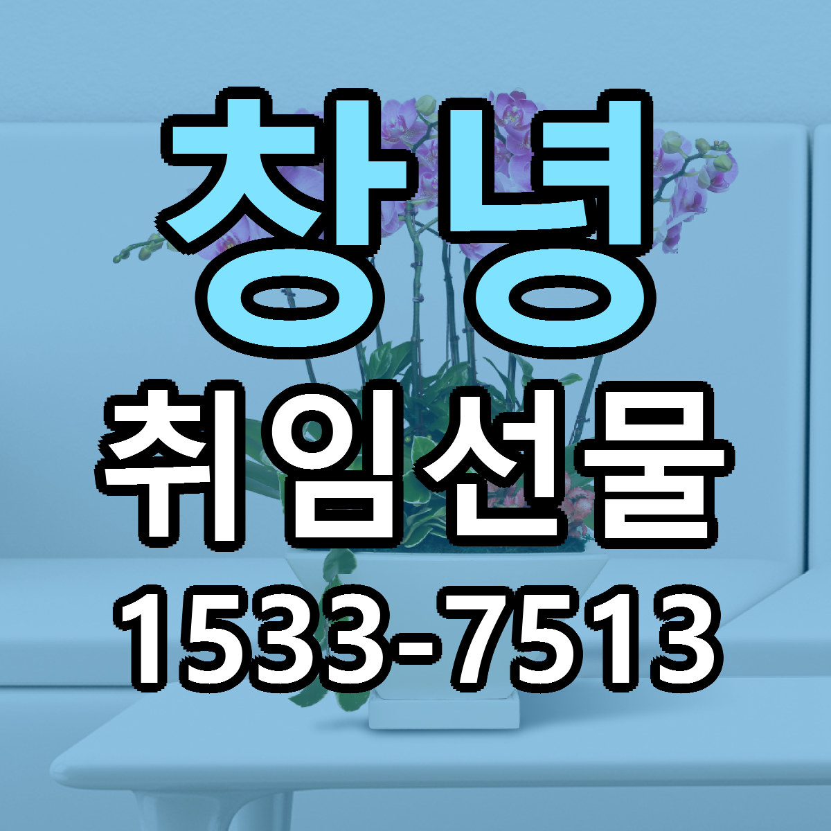 창녕 취임선물 가격 착한 싼곳 당일배송 안내