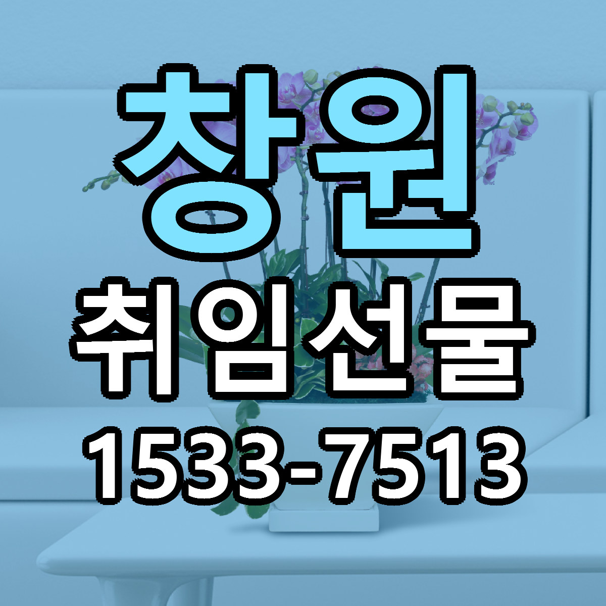 창원 취임선물 싼곳 빠른배송 리본문구 무료