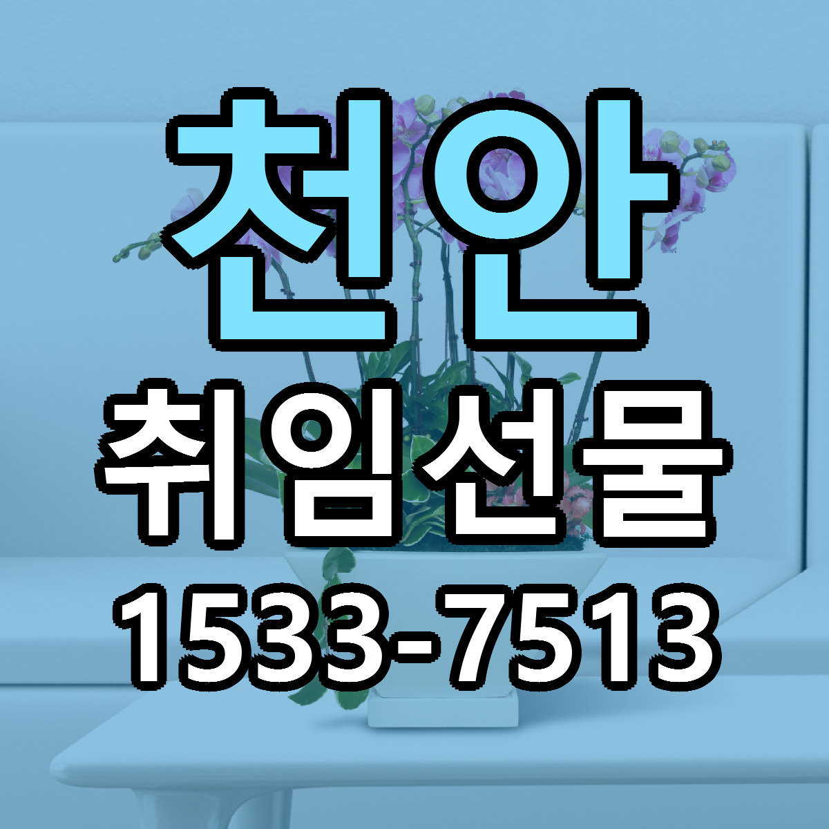천안 취임선물 싼곳 당일배송 빠른배송 추천