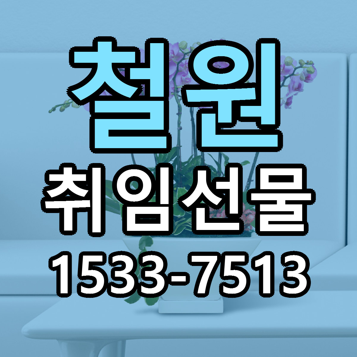철원 취임선물 당일배송 저렴한곳 리본문구 추천