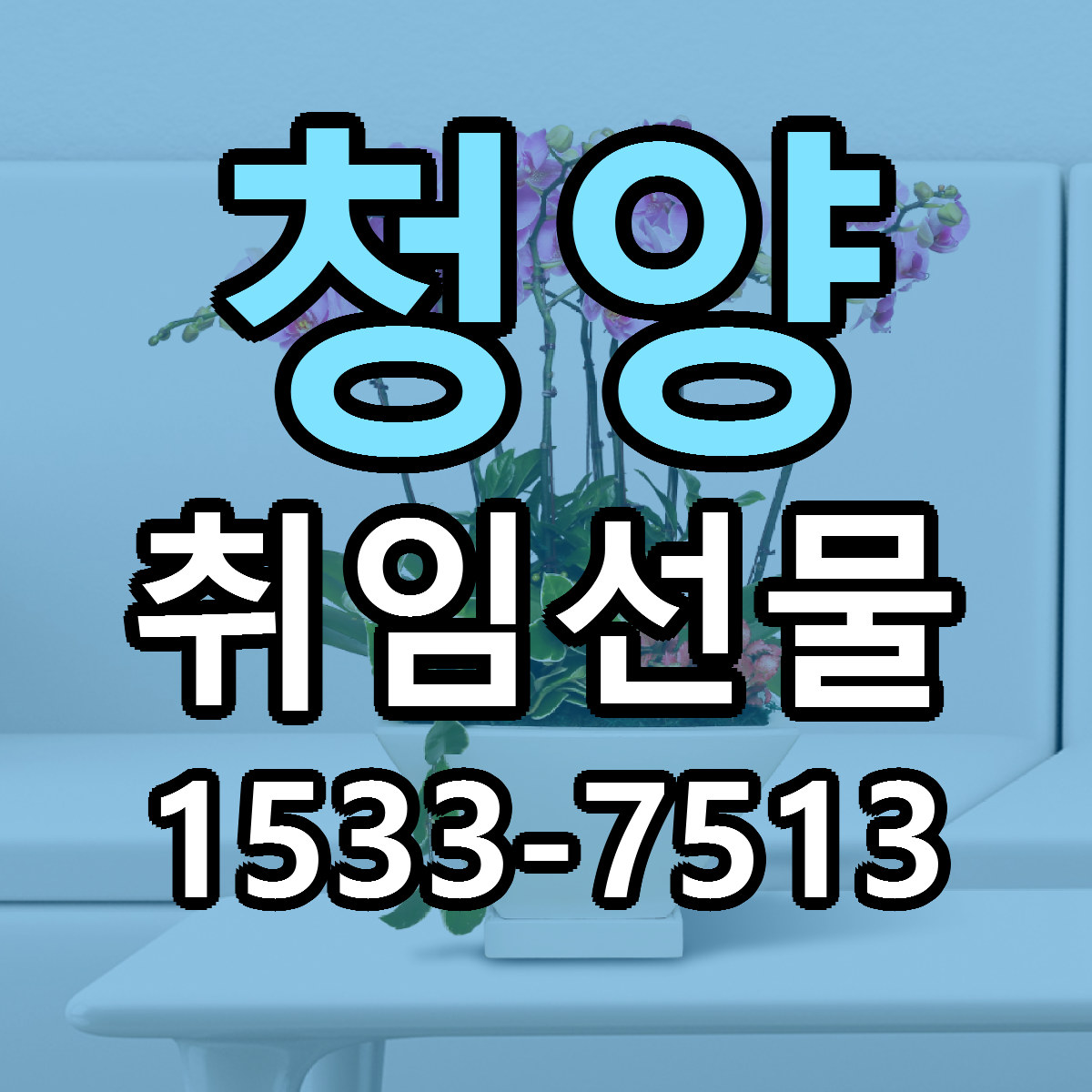청양 취임선물 싼곳 당일배송 빠른배송 추천
