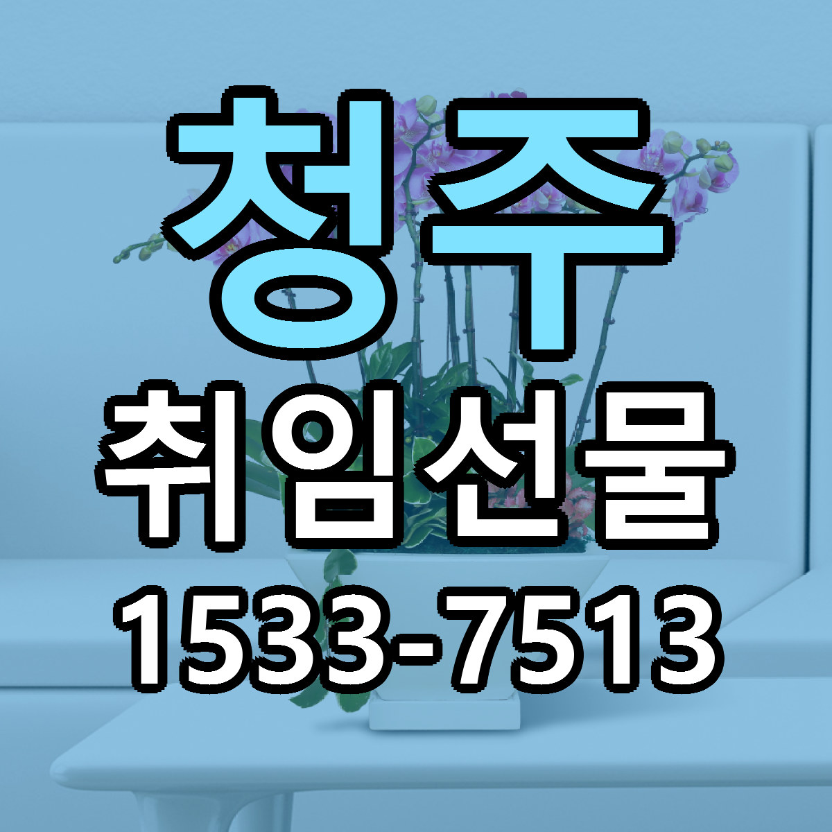 청주 취임선물 빠른배송 리본문구 가격 알뜰 비교