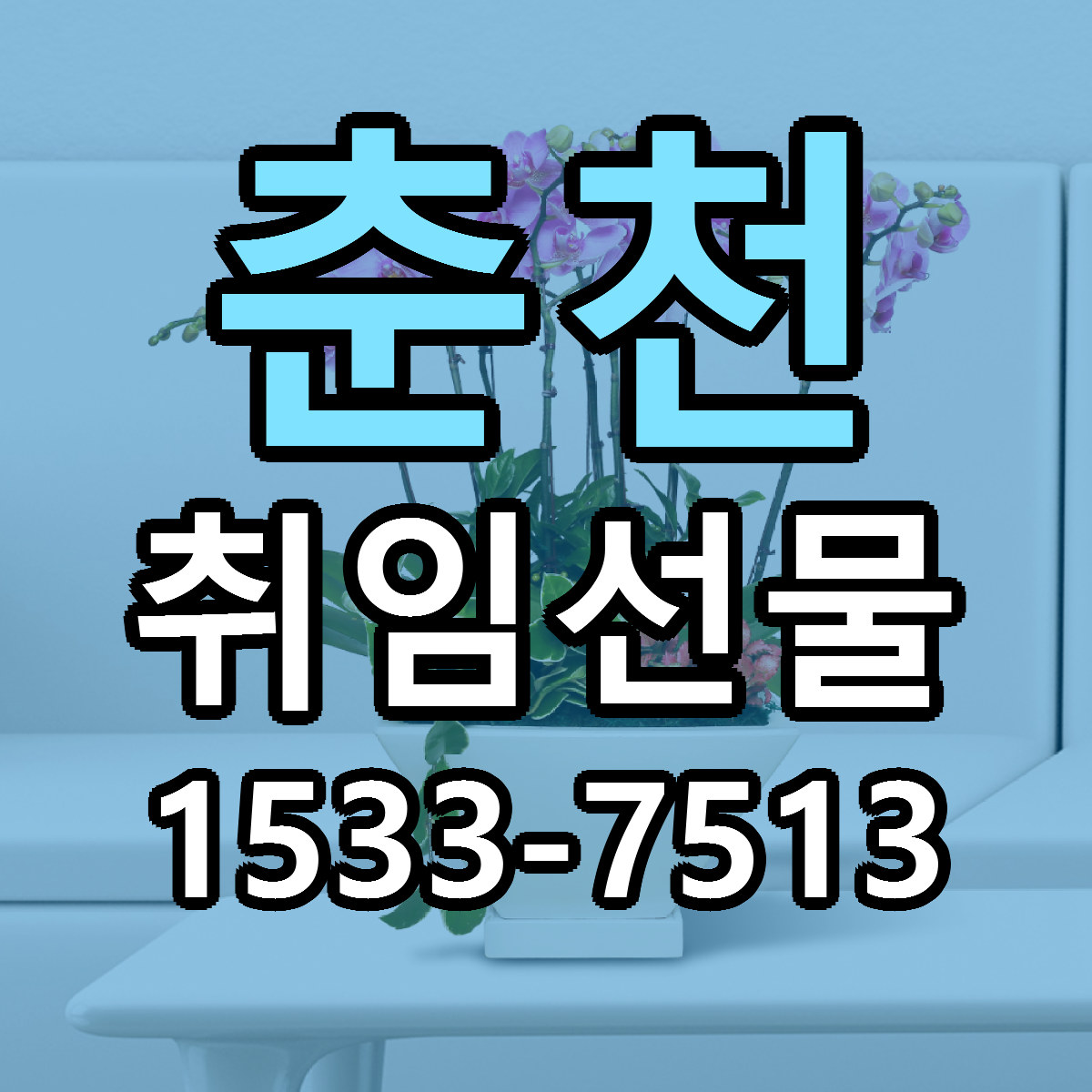 춘천 취임선물 저렴한곳 당일배송 근처꽃집 추천
