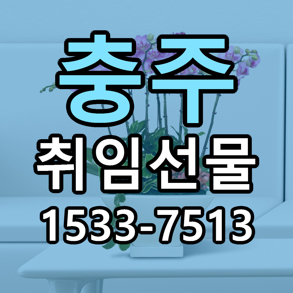 충주 취임선물 근처꽃집 싼곳 빠른배송 안내