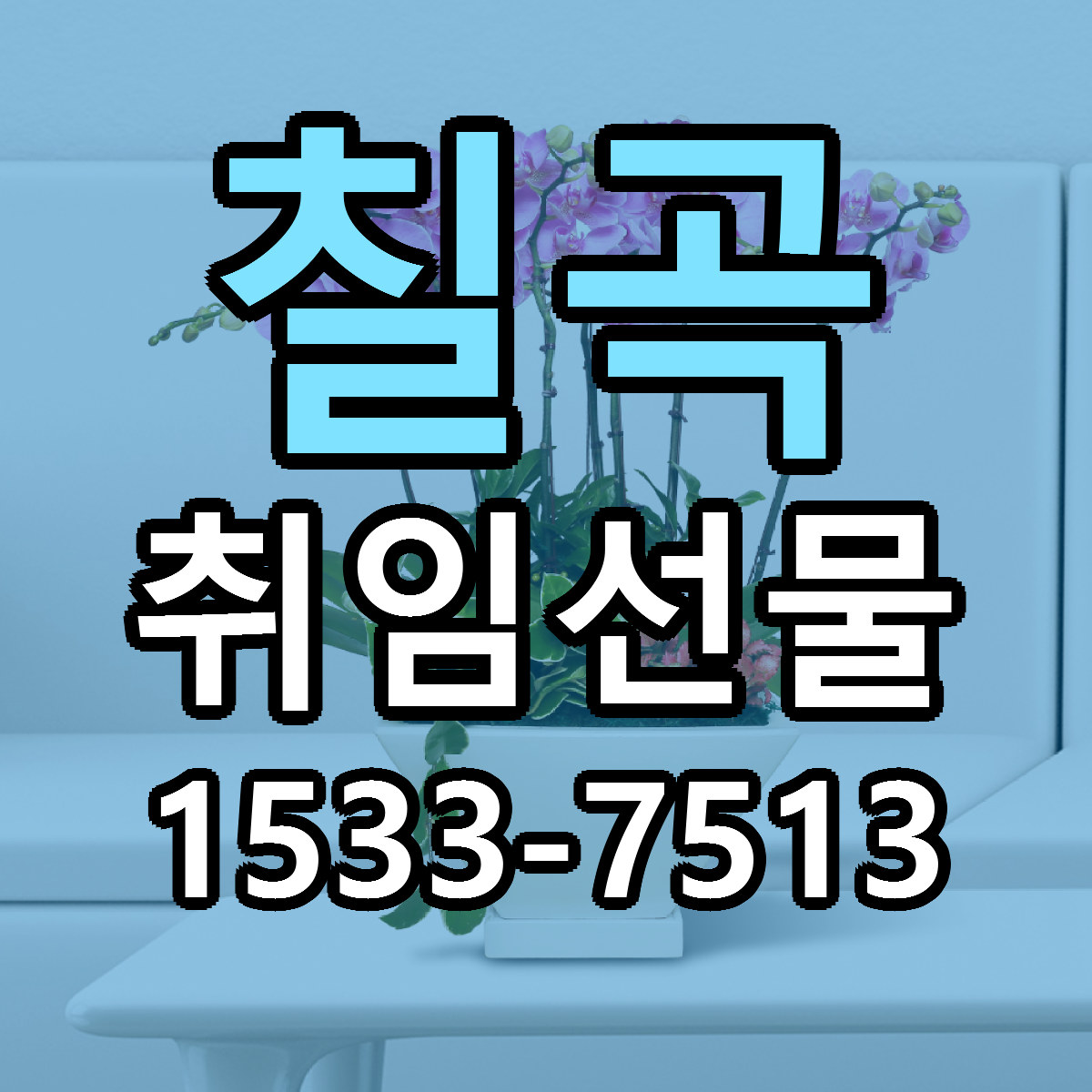 칠곡 취임선물 빠른배송 가격 저렴한곳 찾기