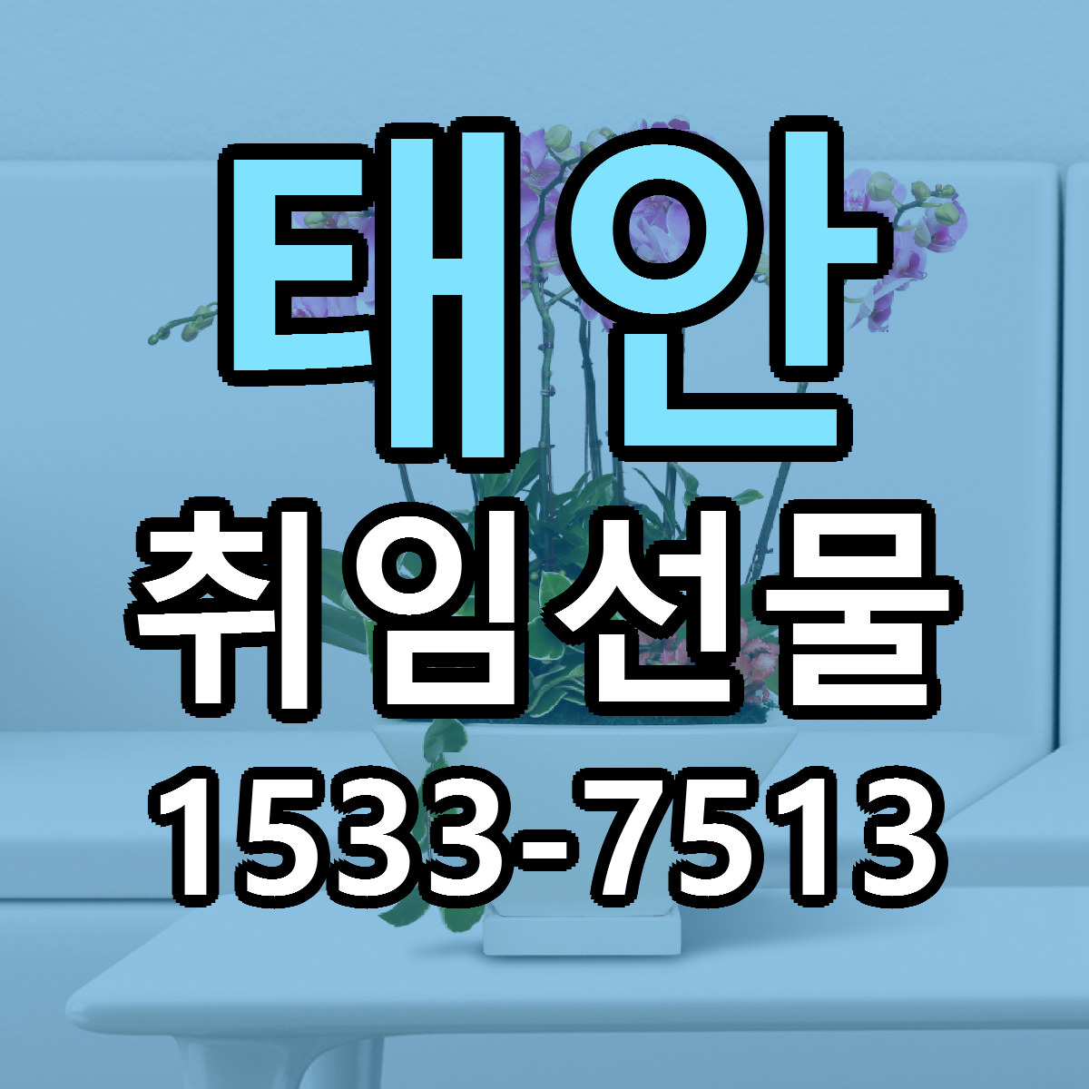 태안 취임선물 당일배송 가격 저렴한곳 추천