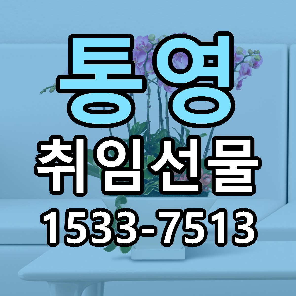 통영 취임선물 저렴한곳 당일배송 근처꽃집 추천