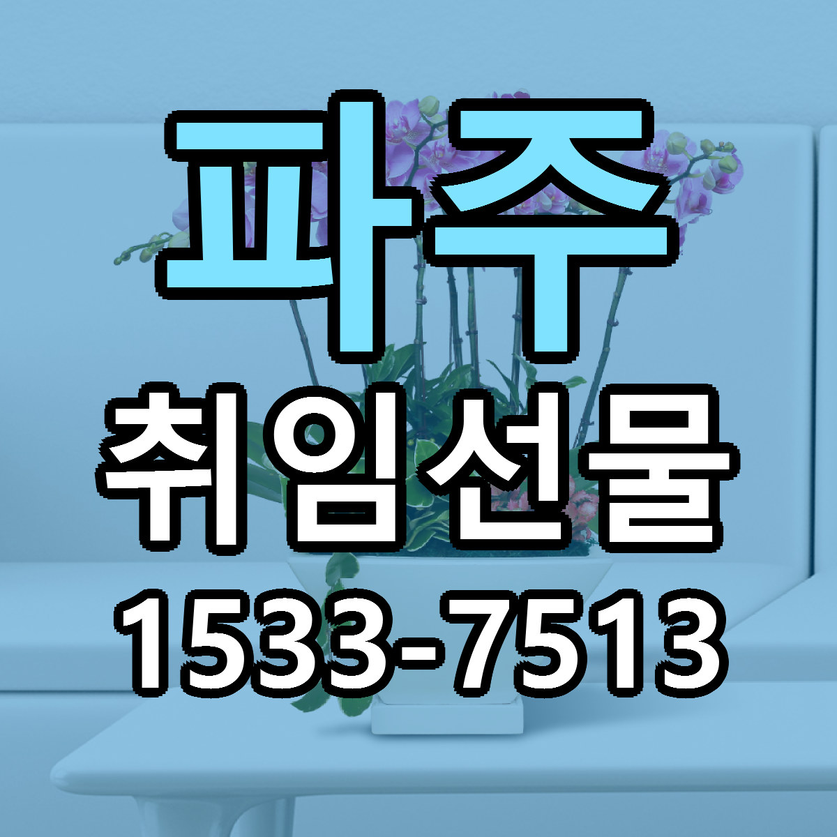 파주 취임선물 가격 착한 싼곳 당일배송 안내