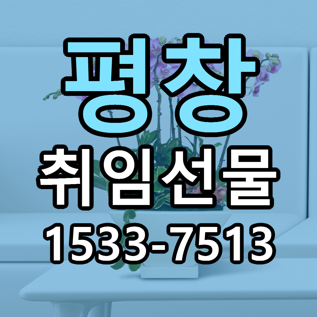 평창 취임선물 가격 착한 싼곳 당일배송 안내
