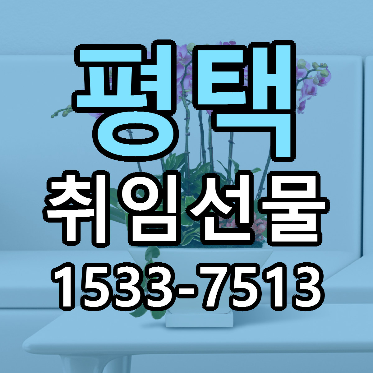 평택 취임선물 근처꽃집 당일배송 싼곳 추천