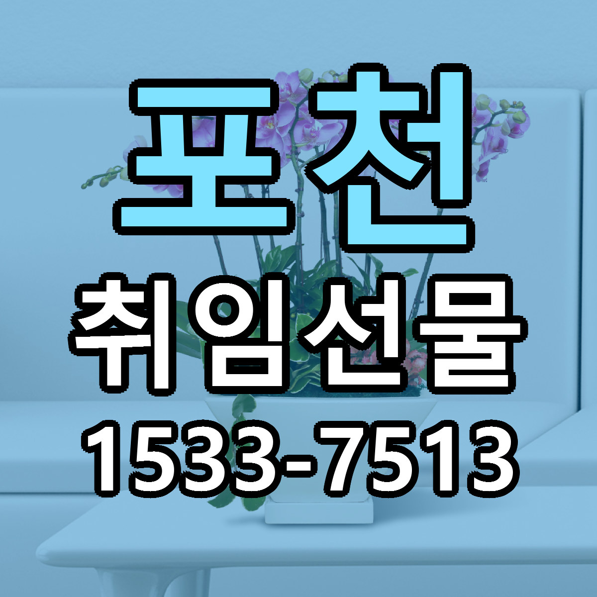 포천 취임선물 싼곳 당일배송 빠른배송 추천