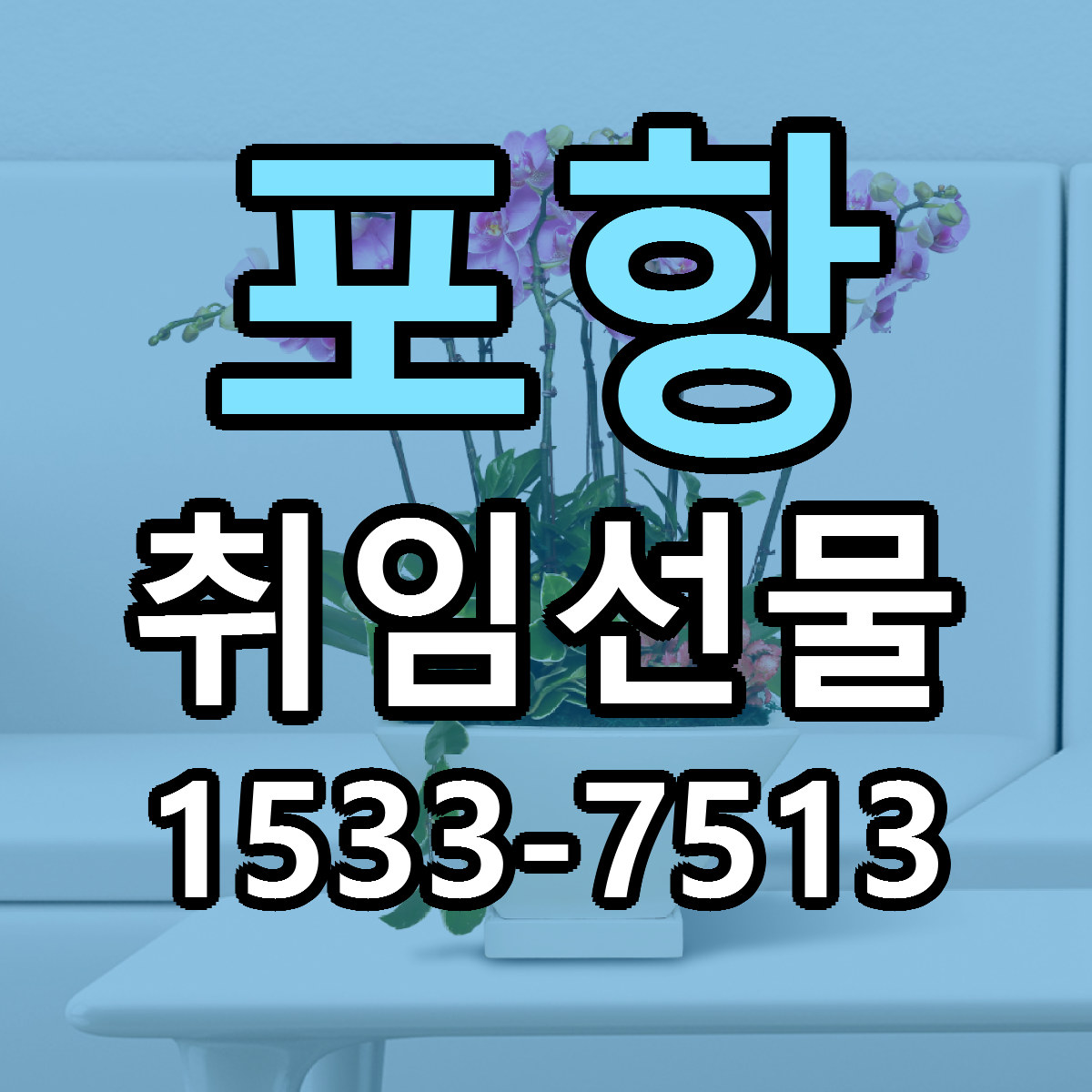 포항 취임선물 빠른배송 근처꽃집 가격 비교