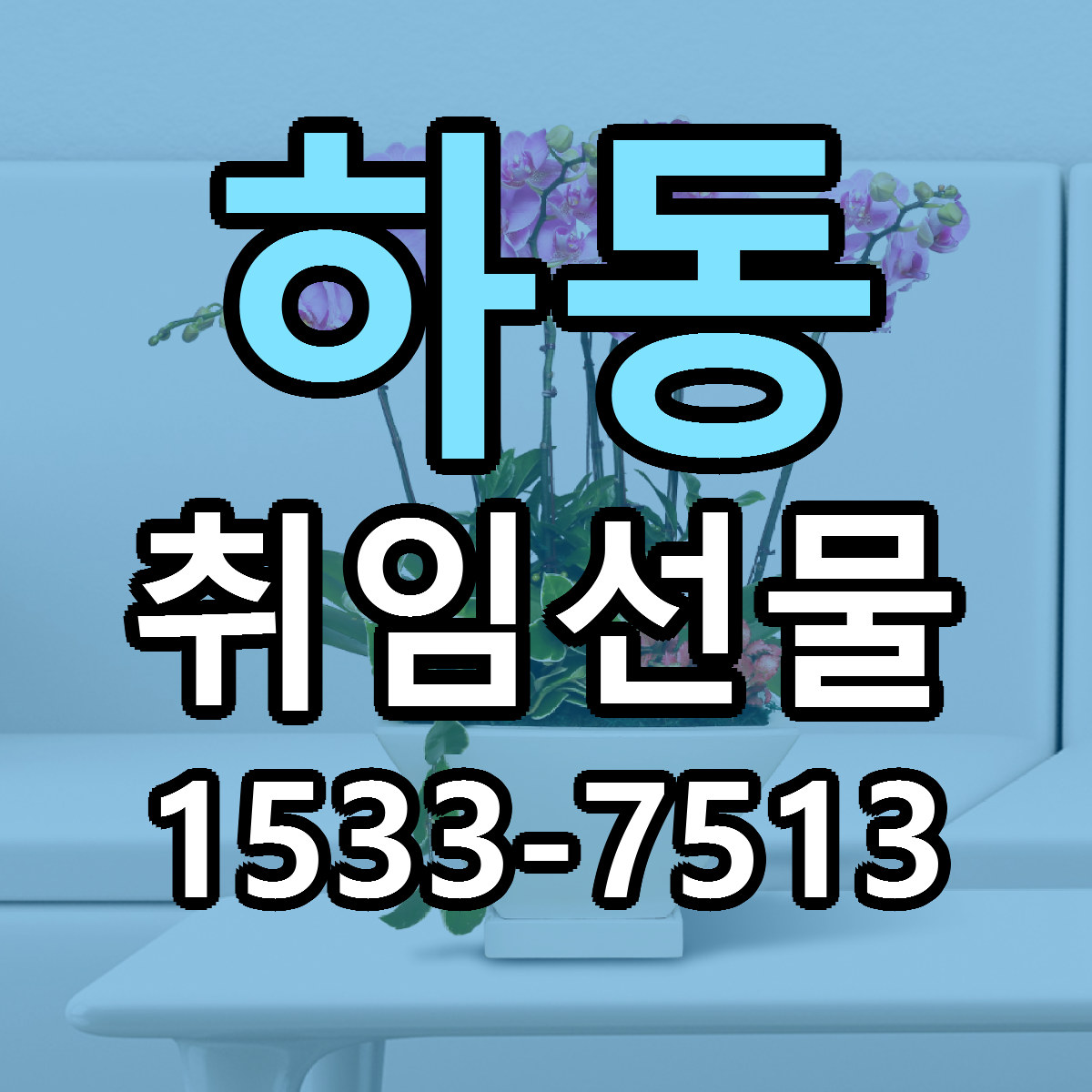 하동 취임선물 근처꽃집 빠른배송 가격 문의