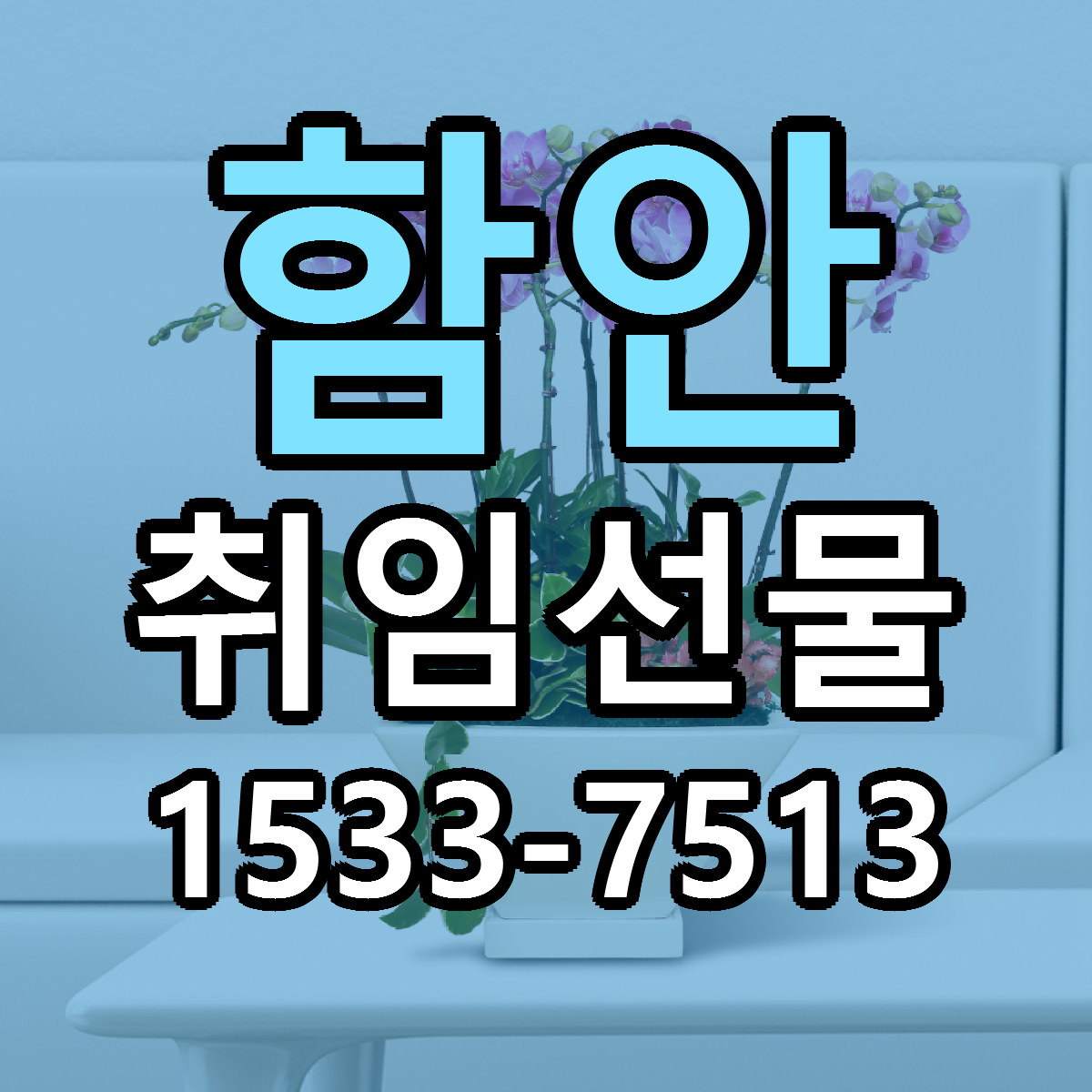 함안 취임선물 당일배송 빠른배송 싼곳 찾기