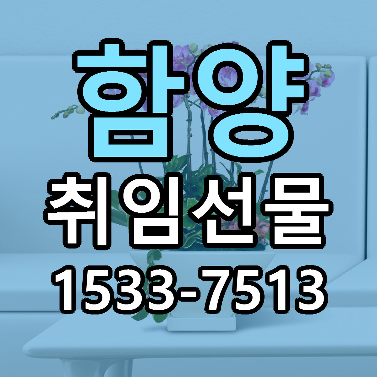함양 취임선물 근처꽃집 싼곳 빠른배송 안내