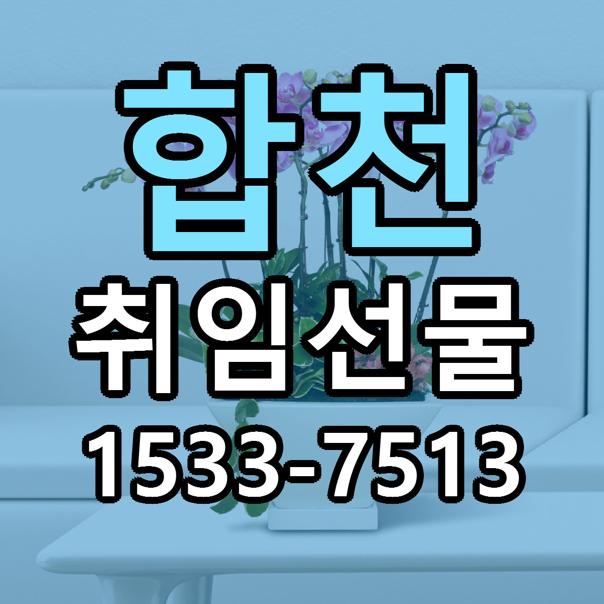 합천 취임선물 근처꽃집 저렴한곳 빠른배송 서비스