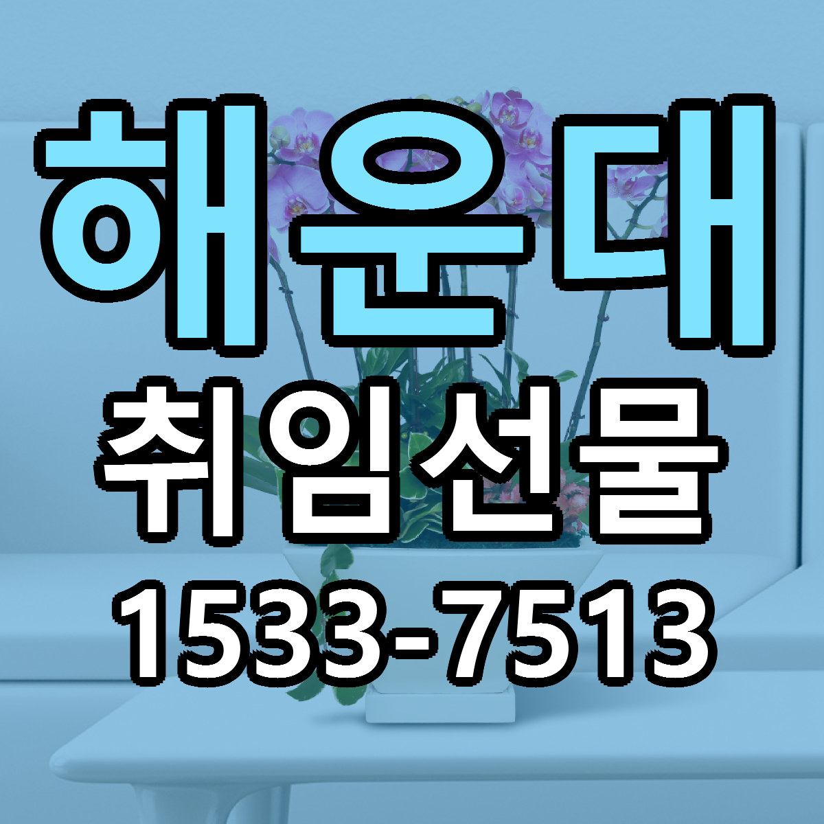 해운대 취임선물 당일배송 빠른배송 싼곳 찾기