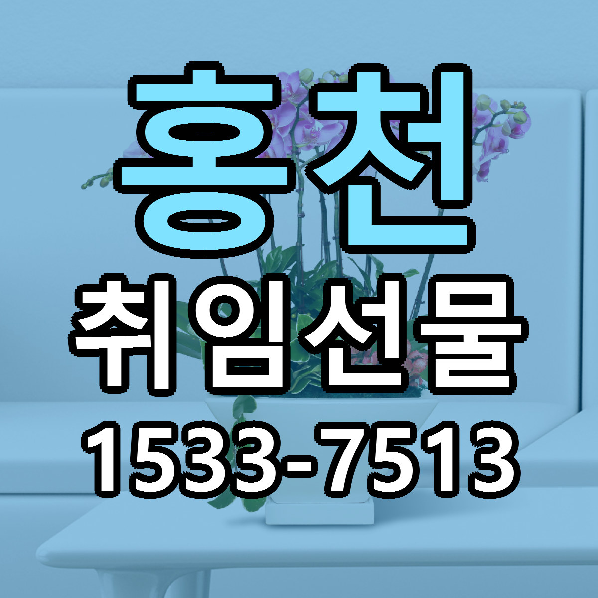홍천 취임선물 빠른배송 리본문구 가격 알뜰 비교