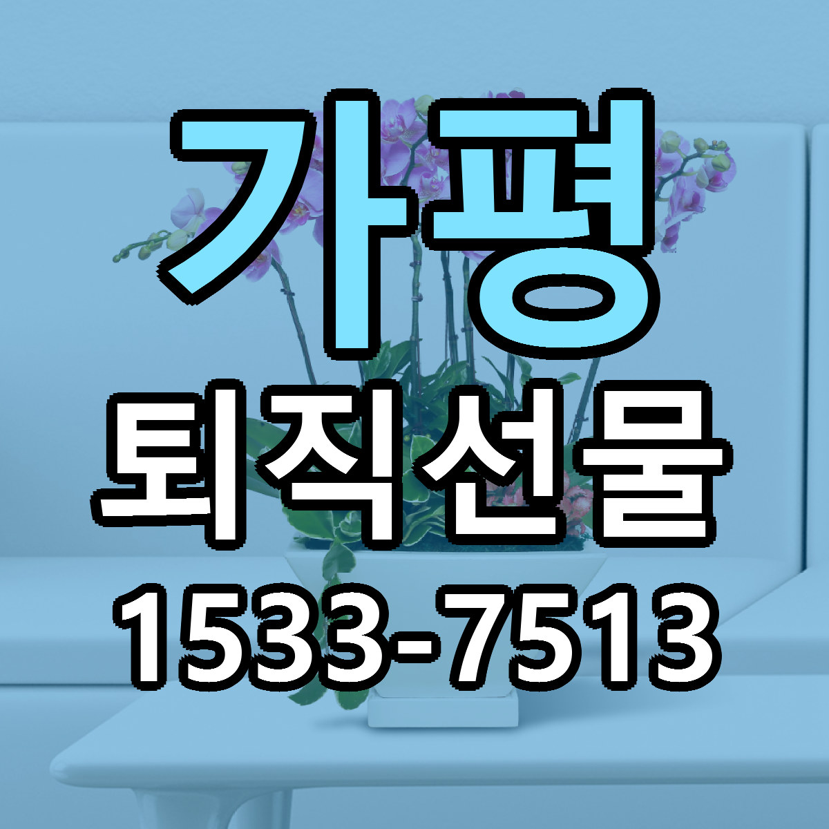 가평 퇴직선물 저렴한곳 당일배송 가격 만족