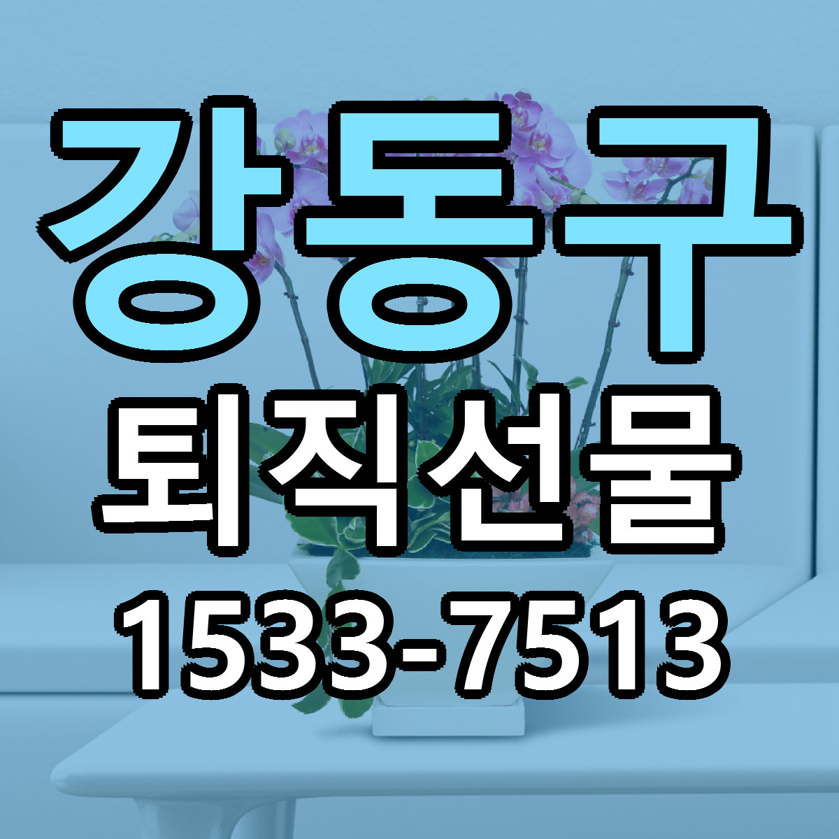 강동구 퇴직선물 리본문구 서비스 저렴한곳 빠른배송