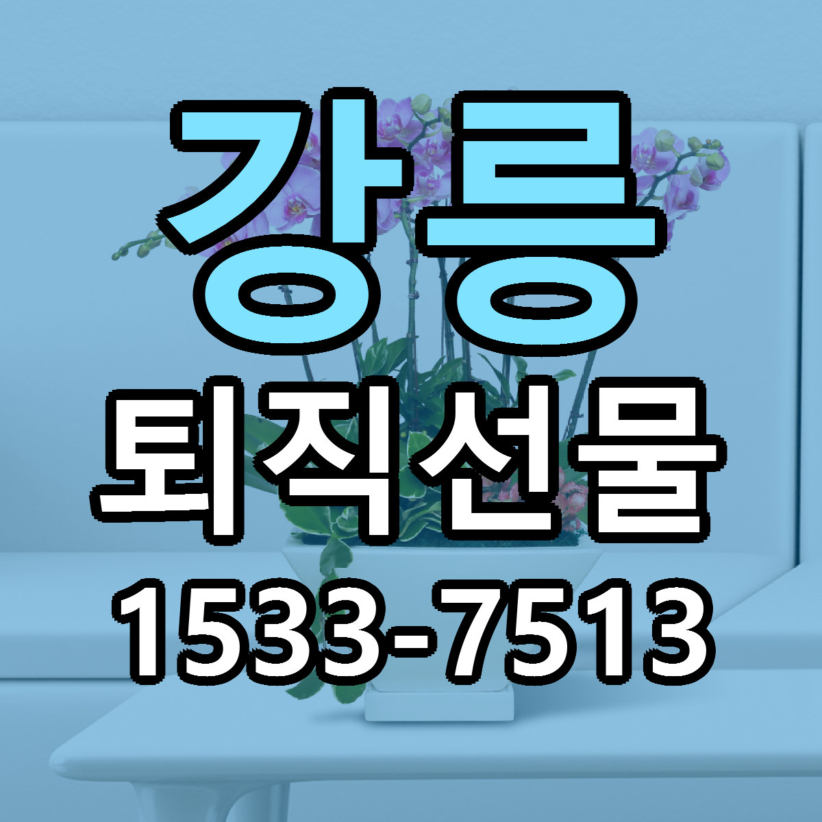 강릉 퇴직선물 리본문구 서비스 저렴한곳 빠른배송