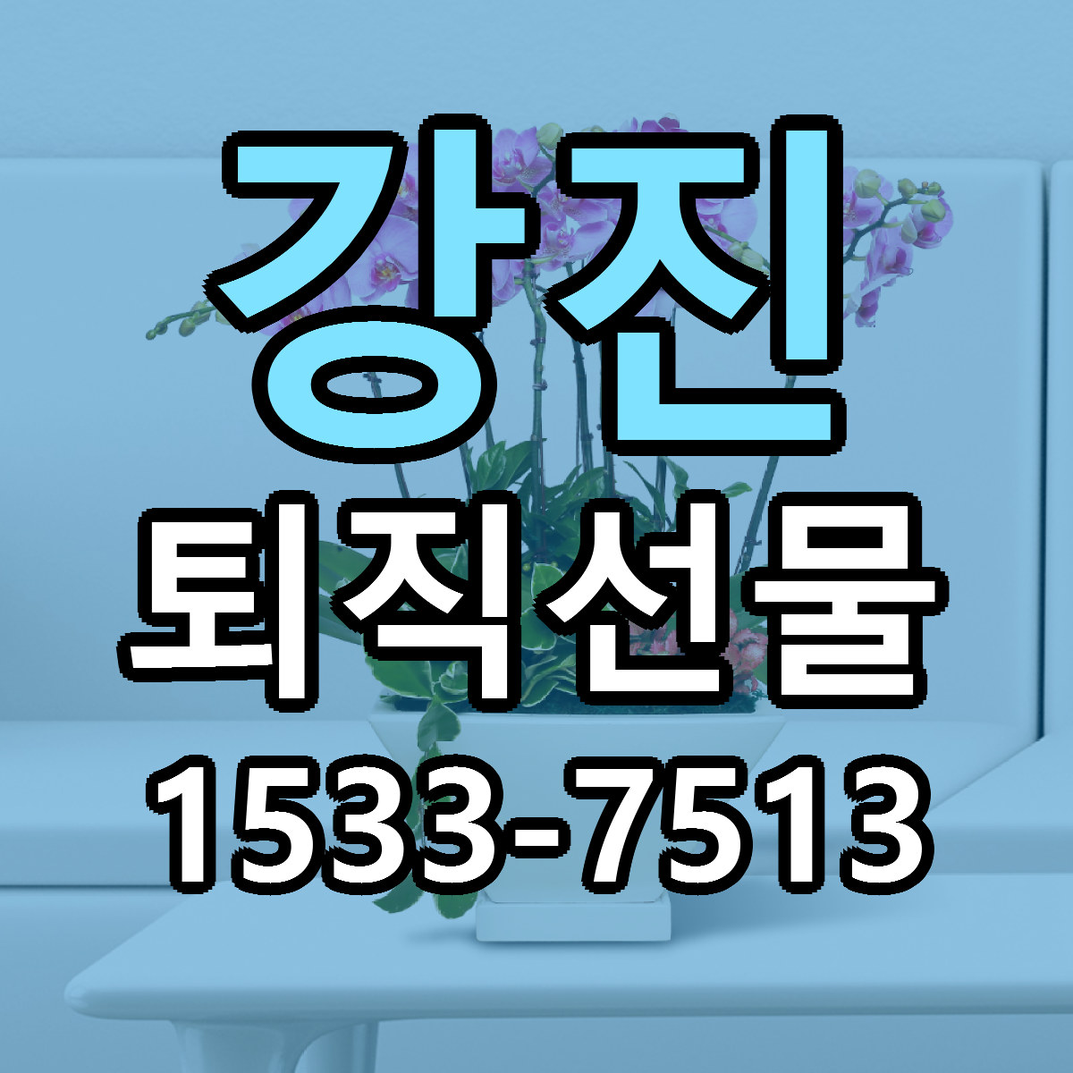강진 퇴직선물 가격 착한 싼곳 당일배송 안내