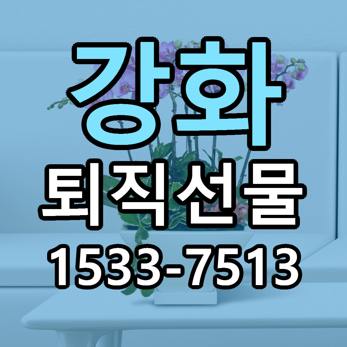 강화 퇴직선물 저렴한곳 당일배송 근처꽃집 추천