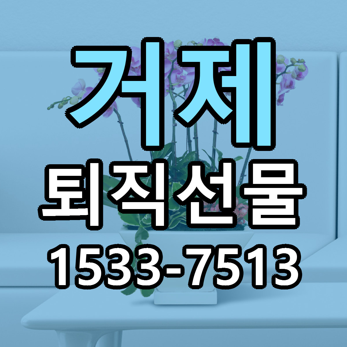 거제 퇴직선물 빠른배송 리본문구 근처꽃집 예약