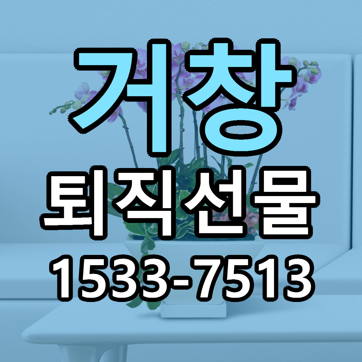 거창 퇴직선물 근처꽃집 당일배송 가격 안내