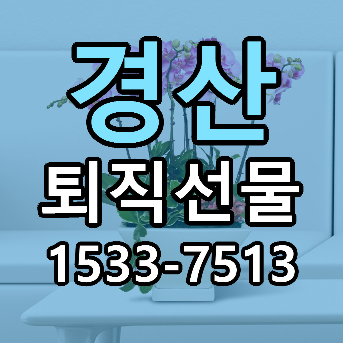 경산 퇴직선물 근처꽃집 당일배송 가격 안내