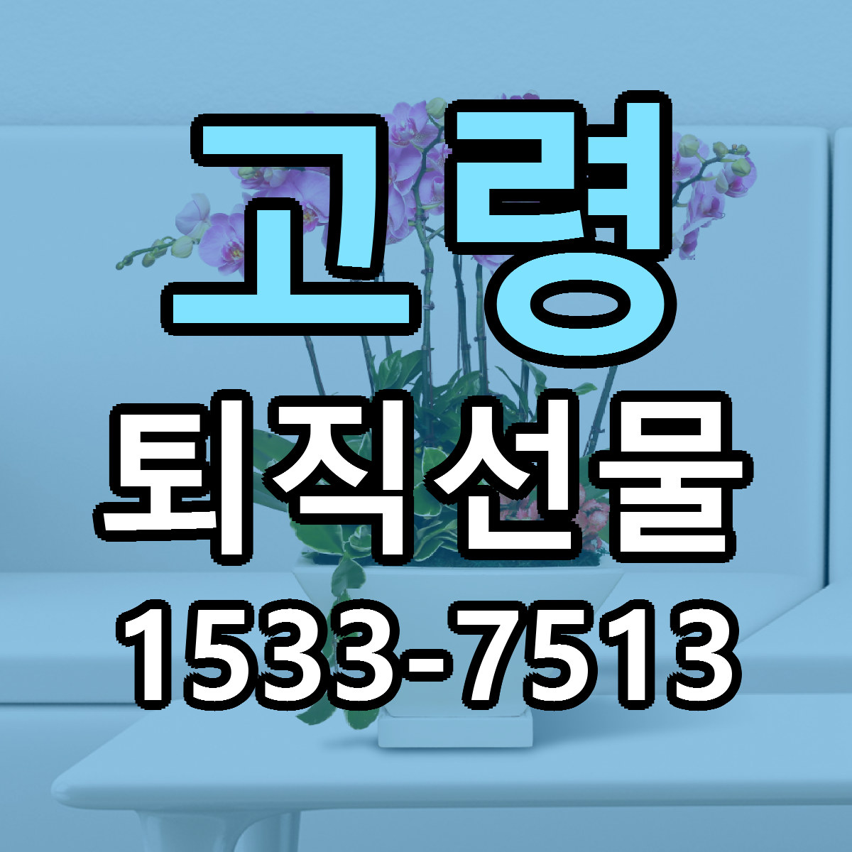 고령 퇴직선물 당일배송 근처꽃집 싼곳 비교
