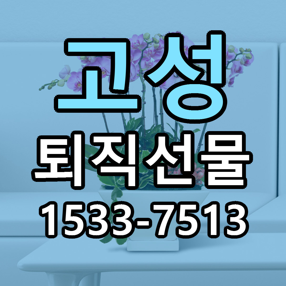 고성 퇴직선물 당일배송 근처꽃집 싼곳 비교