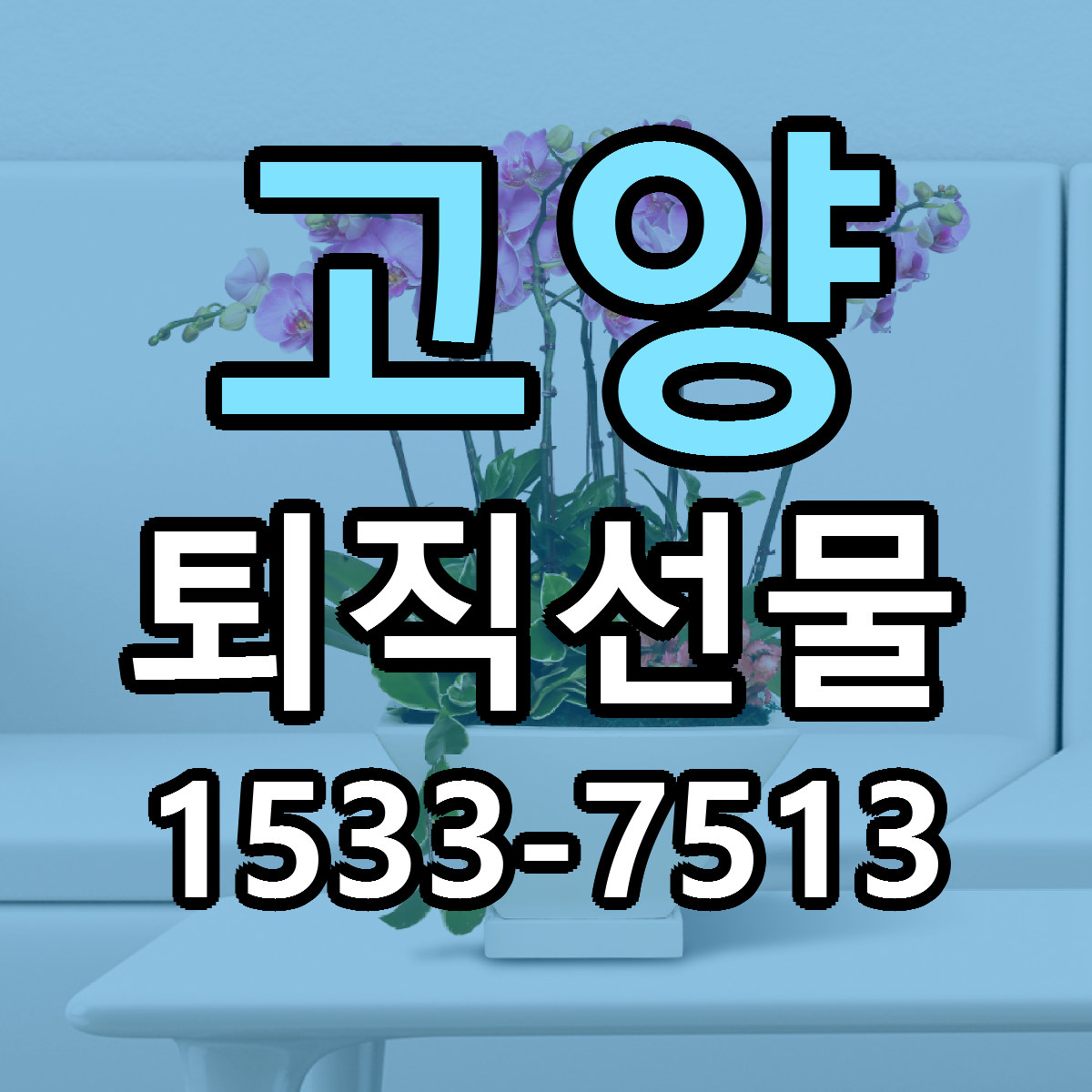 고양 퇴직선물 당일배송 빠른배송 싼곳 찾기