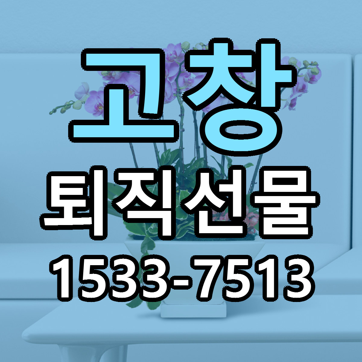 고창 퇴직선물 싼곳 당일배송 빠른배송 추천