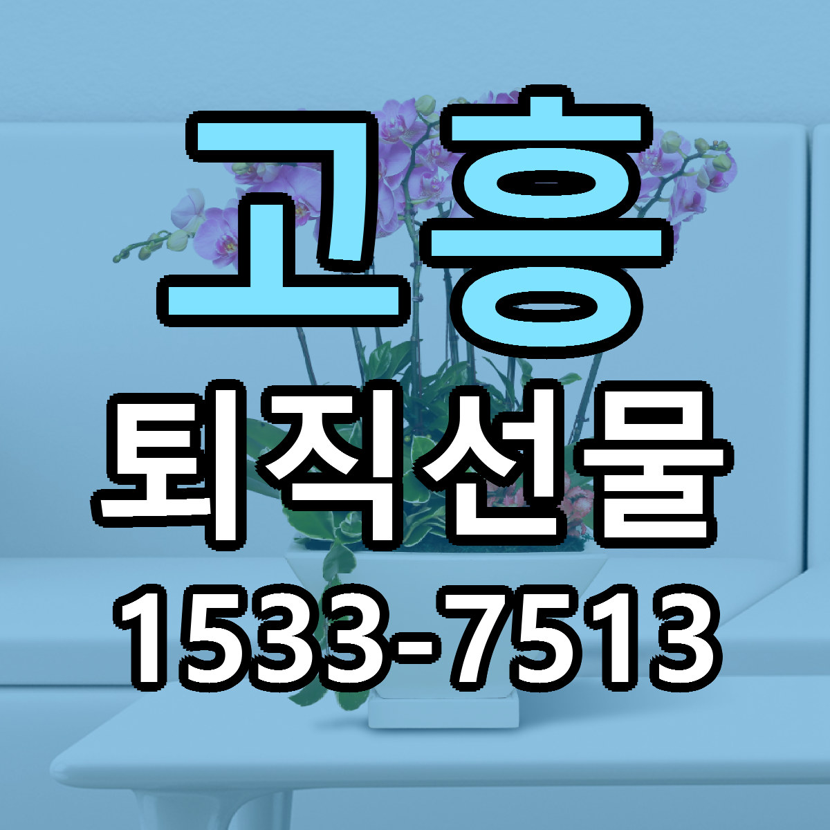 고흥 퇴직선물 가격 착한 싼곳 당일배송 안내