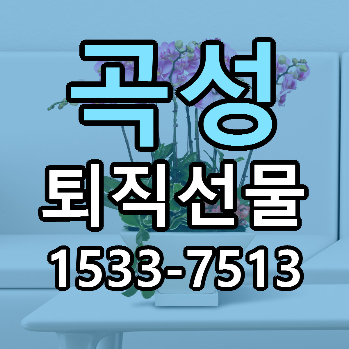 곡성 퇴직선물 빠른배송 가격 저렴한곳 찾기