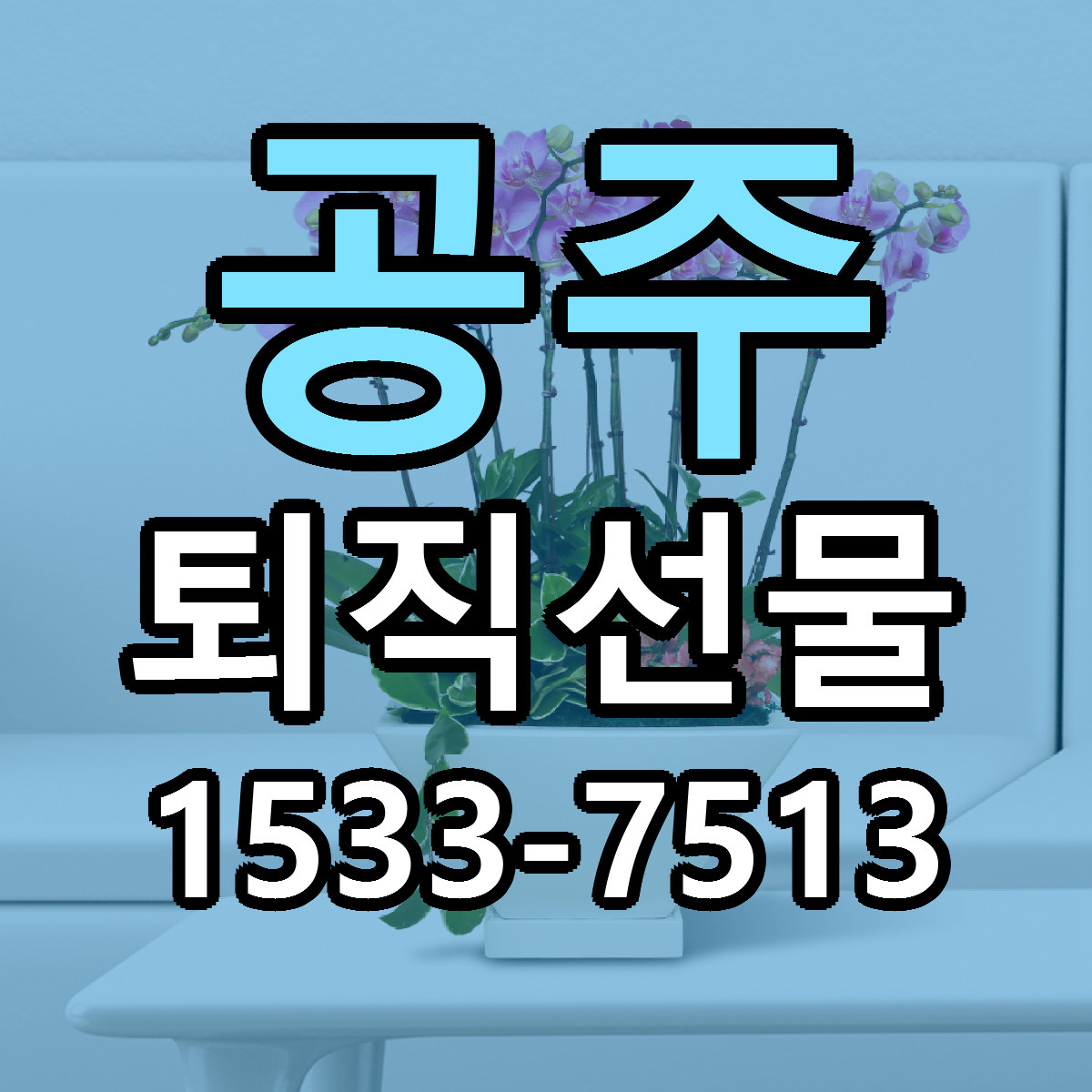 공주 퇴직선물 당일배송 리본문구 빠른배송 서비스